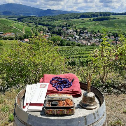 Weingut Büchin Hochzeitsredner Zen Mönch Marcel Reding