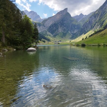 Freie Trauung beim Seealpsee mit Hochzeitsredner Abt Reding